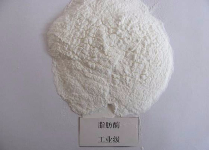 酶制劑干燥技術解決方案